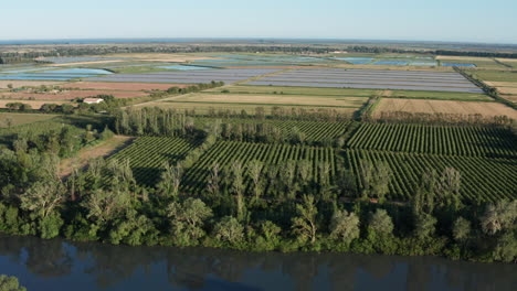 River-vineyard-fields-and-paddy-rice-fields-aerial-shot-France-Camargue